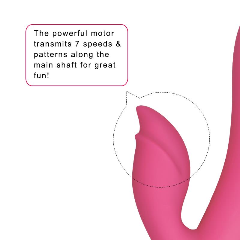 Dreamer II USB-Vibrator Rosenrot